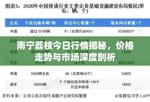 南宁荔枝今日行情揭秘,价格走势与市场深度剖析