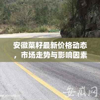 安徽菜籽最新价格动态,市场走势与影响因素深度解析