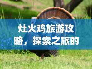 灶火鸡旅游攻略,探索之旅的终极指南