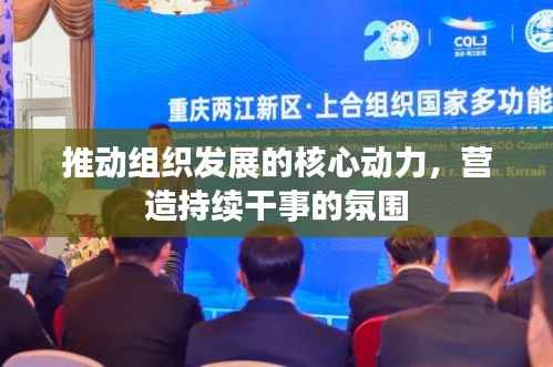 推动组织发展的核心动力,营造持续干事的氛围