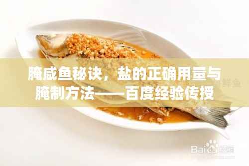 腌咸鱼秘诀，盐的正确用量与腌制方法——百度经验传授