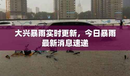 大兴暴雨实时更新，今日暴雨最新消息速递