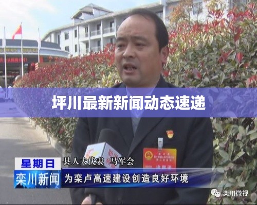 坪川最新新闻动态速递