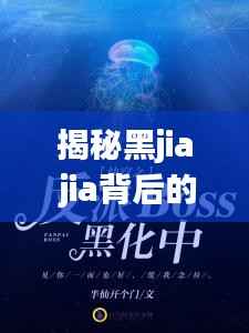 揭秘黑jia jia背后的故事,深度解析引人瞩目