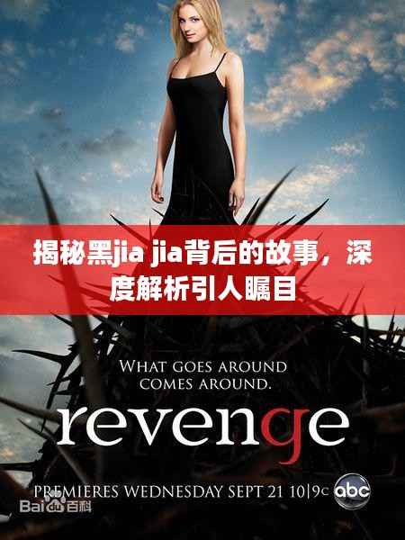 揭秘黑jia jia背后的故事,深度解析引人瞩目