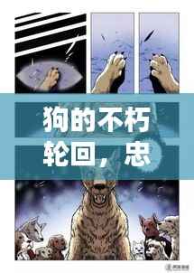 狗的不朽轮回，忠诚与感动的电影传奇