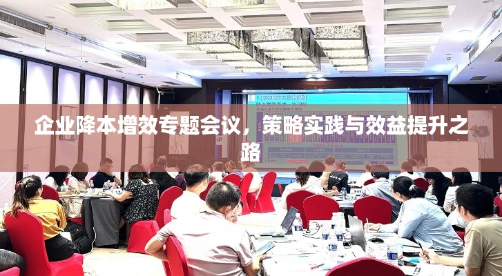 企业降本增效专题会议,策略实践与效益提升之路